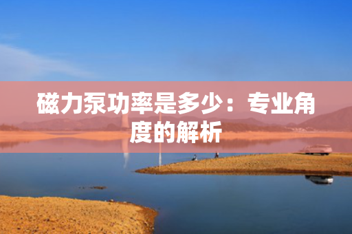 磁力泵功率是多少：专业角度的解析