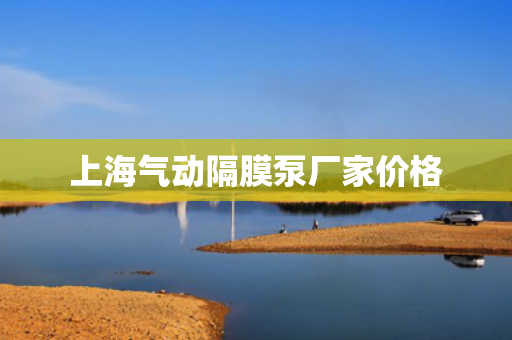 上海气动隔膜泵厂家价格