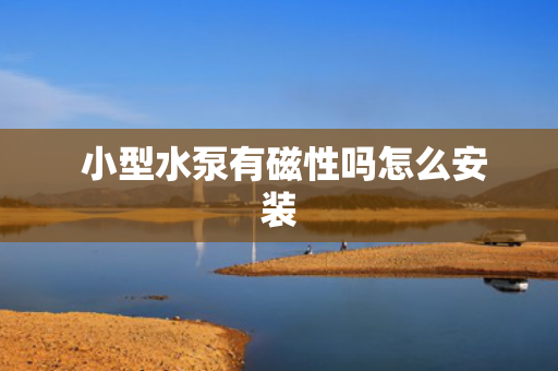  小型水泵有磁性吗怎么安装
