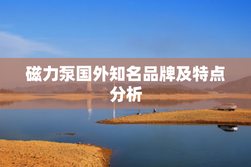 磁力泵国外知名品牌及特点分析
