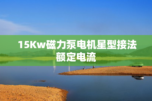  15Kw磁力泵电机星型接法额定电流