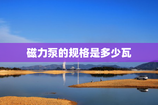 磁力泵的规格是多少瓦
