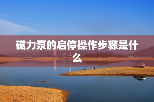 磁力泵的启停操作步骤是什么
