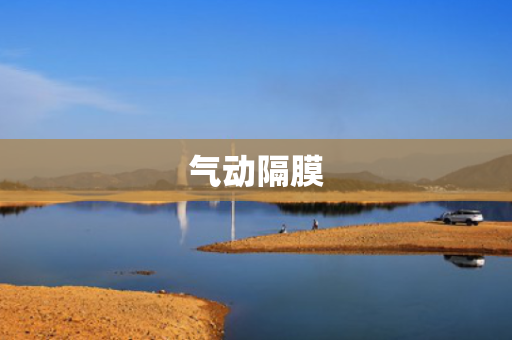 气动隔膜