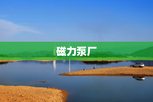 磁力泵厂