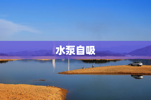 水泵自吸