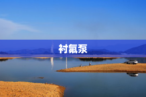 衬氟泵