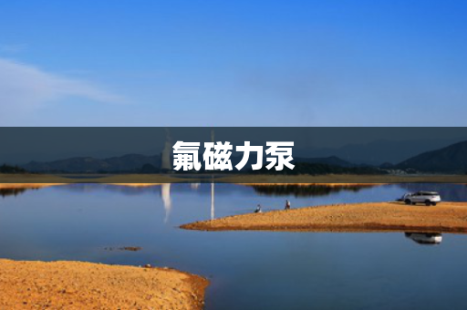 氟磁力泵