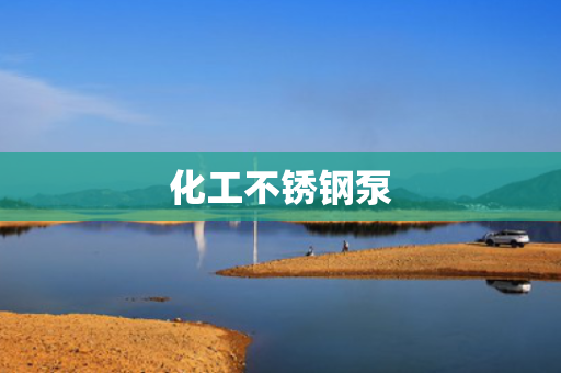 化工不锈钢泵