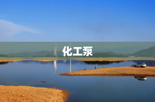 化工泵
