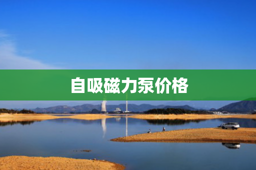 自吸磁力泵价格