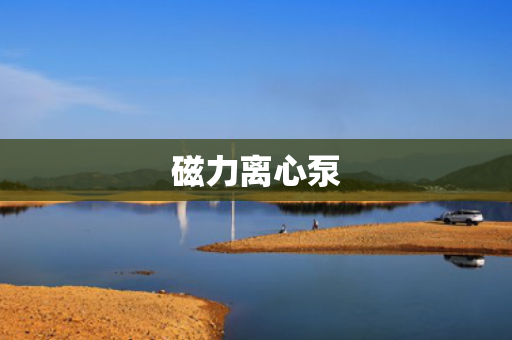磁力离心泵