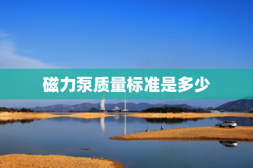 磁力泵质量标准是多少