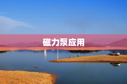 磁力泵应用