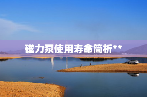 磁力泵使用寿命简析**