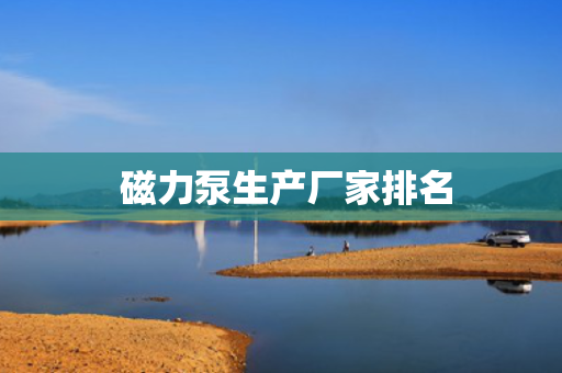 磁力泵生产厂家排名