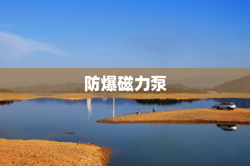 防爆磁力泵