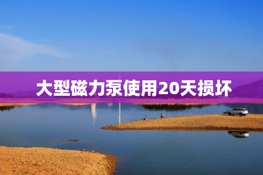 大型磁力泵使用20天损坏
