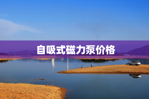  自吸式磁力泵价格