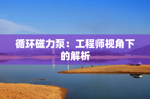 循环磁力泵：工程师视角下的解析
