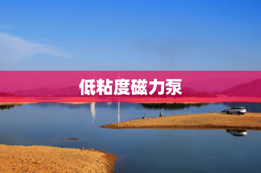 低粘度磁力泵
