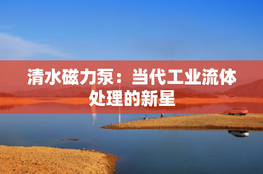 清水磁力泵：当代工业流体处理的新星