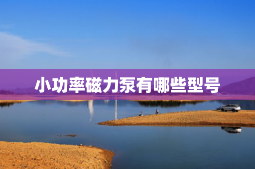 小功率磁力泵有哪些型号