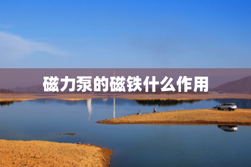磁力泵的磁铁什么作用