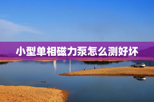 小型单相磁力泵怎么测好坏