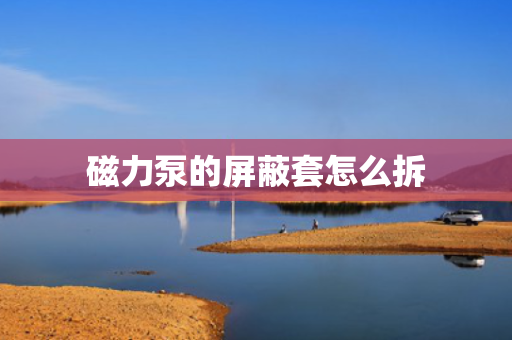 磁力泵的屏蔽套怎么拆