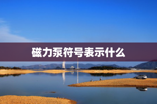 磁力泵符号表示什么