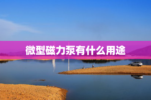 微型磁力泵有什么用途