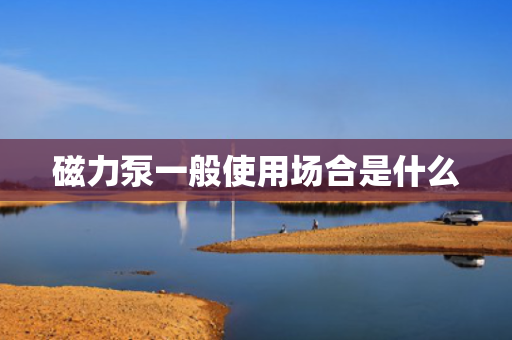 磁力泵一般使用场合是什么