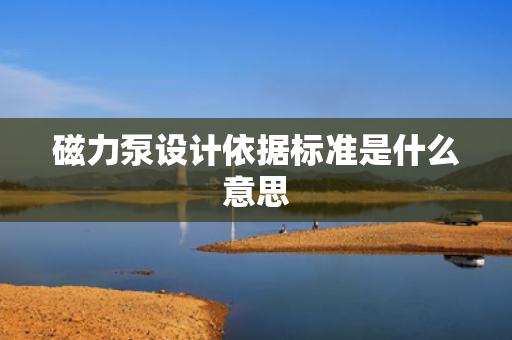 磁力泵设计依据标准是什么意思