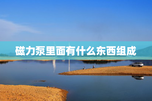 磁力泵里面有什么东西组成