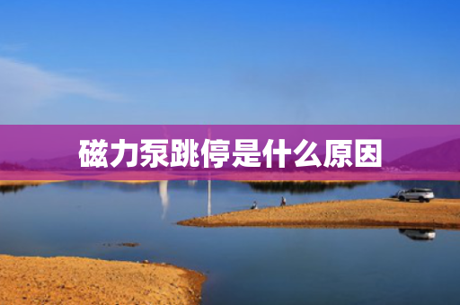 磁力泵跳停是什么原因
