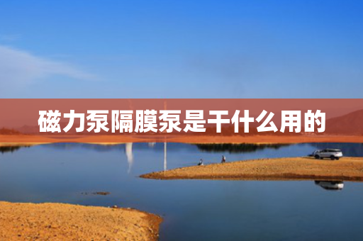 磁力泵隔膜泵是干什么用的