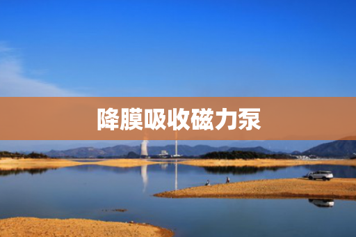 降膜吸收磁力泵