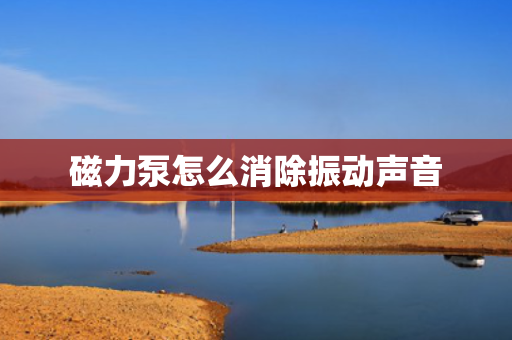 磁力泵怎么消除振动声音