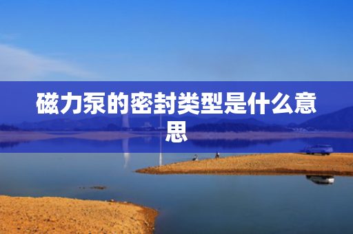 磁力泵的密封类型是什么意思