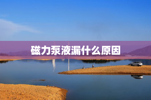 磁力泵液漏什么原因