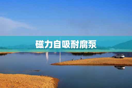 磁力自吸耐腐泵