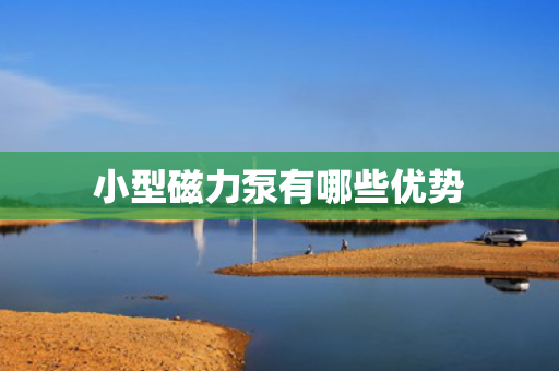 小型磁力泵有哪些优势