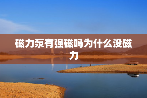 磁力泵有强磁吗为什么没磁力