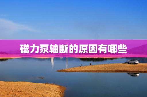 磁力泵轴断的原因有哪些