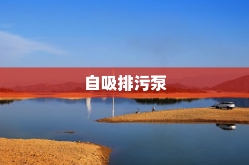 自吸排污泵
