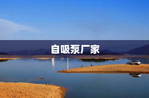 自吸泵厂家