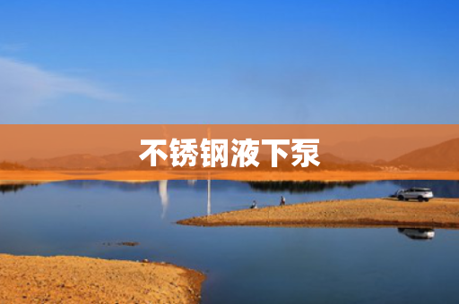 不锈钢液下泵