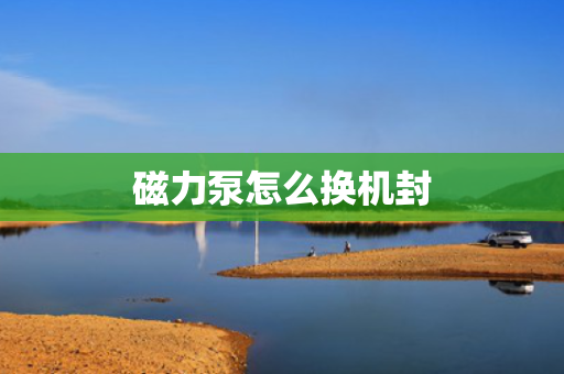磁力泵怎么换机封