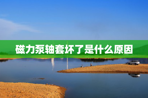 磁力泵轴套坏了是什么原因
